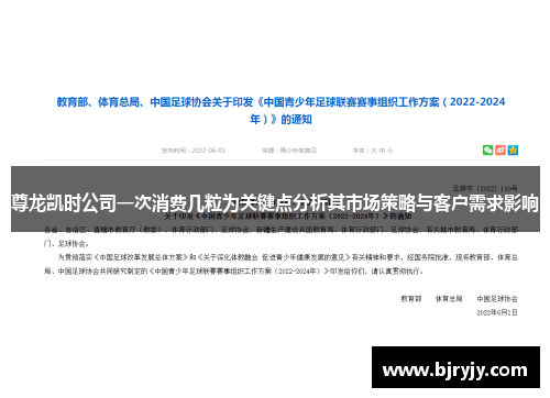 尊龙凯时公司一次消费几粒为关键点分析其市场策略与客户需求影响