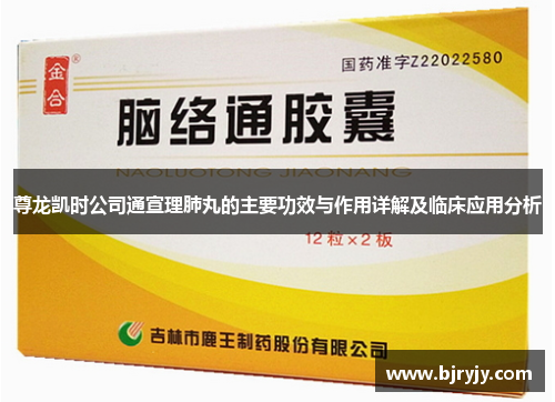 尊龙凯时公司通宣理肺丸的主要功效与作用详解及临床应用分析