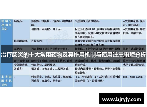 治疗肠炎的十大常用药物及其作用机制与使用注意事项分析