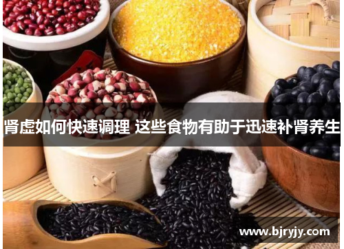 肾虚如何快速调理 这些食物有助于迅速补肾养生